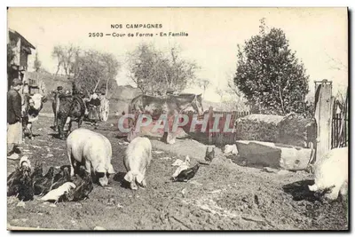 Cour de Ferme — En Famille — NOS CAMPAGNES 2503