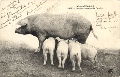Nossas Campagnas — Uma feliz pequena Família — Editor Nossas Campagnas, n° 2830