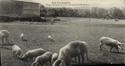Nossas Campanhas — Papa, Mamãe e seus filhos em férias — editor não visível