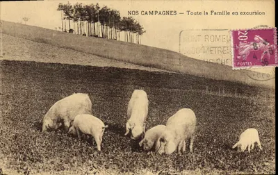 Nossas Campagnas — Toda a Família em Excursão — Editor: NOS CAMPAGNES, n° 6015