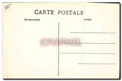 Porcos em pastagem — Lembrete de Férias — Toda a Família em Excursão — n° 3348 — Verso