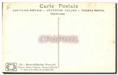 Rosas e Glicínia — P.J. Gallais & Cie, Paris — Verso