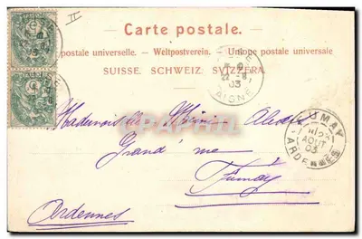 Edelweiss — flor da montanha — Foto Zehrel, Röthenberg-Zurich — Verso