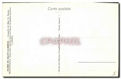 Flora Zatoki Zambezi — Mozungula — Société des Missions Évangéliques de Paris — Rewers
