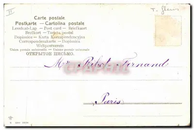 Flores de cravos — detalhes florais — Ribot Kelly, série B 2834 — Verso
