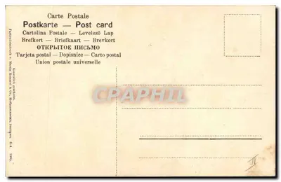 Kwiatuszki pomarańczy — ilustracja botaniczna — Rewers