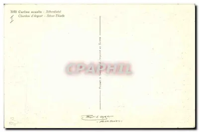 Carlina acaulis — Agulha de Prata — Thor & Cie, n° 3169 — Verso