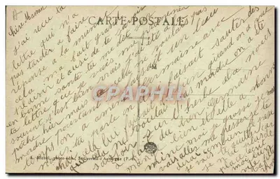Auvergne — Uma « coche » e sua pequena família em recreação — A. Michel, foto-edição St-Gervais d'Anvergne (P.-d.) — Verso