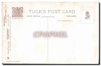 Cachorro em um vaso — Aviso — Tuck's Post Card N° 8602 — Verso