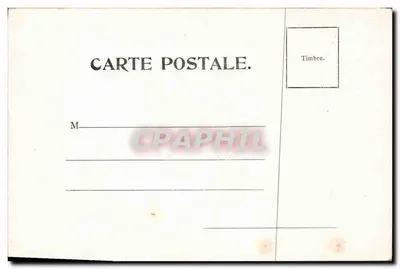 Bukiet margaretek — ilustracja botaniczna — seria nr 241 — Rewers