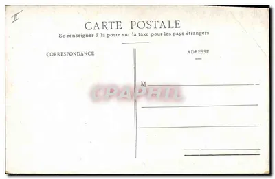 Anemonki z Caen — ilustracja botaniczna — wydawca nieznany — Rewers