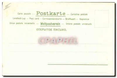 Flores de papoula — ilustração — n° 963 — Verso