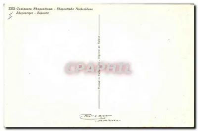 Centaurea Rhaponticum — Rhapontique — Impresso na Suíça — Verso