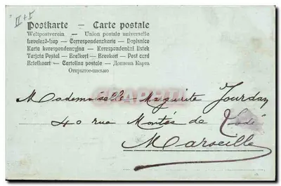 Flores de camomila — Desejos sinceros — editor não visível — Verso