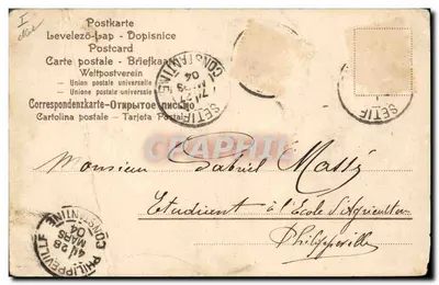 Bilhete postal antigo Porco Ciclo Velocipedo — Verso