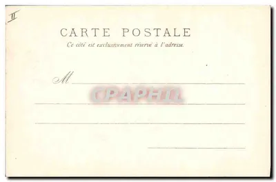Délavé — Kwiaty delphiny — Raphael Tuck & Fils, Paryż, seria 18.10 — Rewers