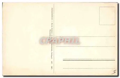 Bloemen van de Nérida — botanische illustratie — uitgever: Martra Rommel & Co, Sautgauet — Achterkant