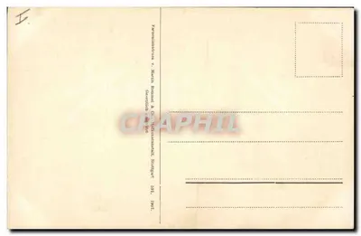 Wieczny Miłość — ilustracja rośliny z fioletowymi kwiatami — wydawca Martin Rommel & Cie, Stuttgart — Rewers