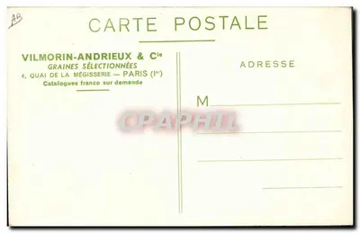 Bouquet dei Campi Vilmorin — Fiori e Graminacee in Miscela — Vilmorin-Andrieux & Cie, Parigi — Verso