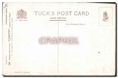 Róże i pszczółki — Tuck's Post Card N° 9651 — Tuck & Son — Rewers