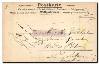Kwitki dzikie — Original-Photochromie N. & Q. Dr. Nr. 62 — Rewers