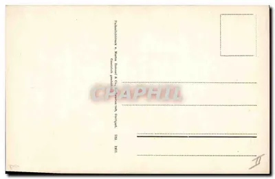 Czerwone kwiaty — ilustracja botaniczna — Faber & Rommel & Co, Stuttgart, nr 370 — Rewers