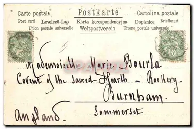Pig et petits porcelets — illustration humoristique — éditeur 'Levelezö-Lap' (verso) — Rewers