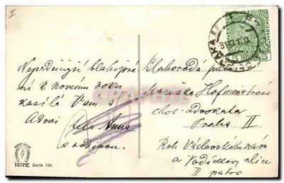 Festa do Ano Novo — criança e porcos — editor Viena, série 796 — Verso