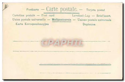 Enfant, cochon et chat partageant un bol — illustration — Verso