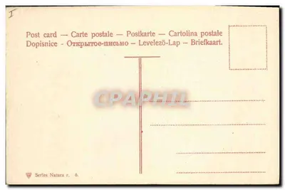 Bukiet fioletów i miodowca w koszyku — seria Natura r. 6 — wydawca nieznany — Rewers