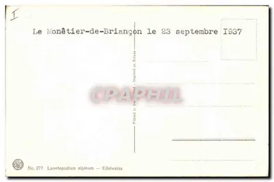 Edelweiss — Le Monêtier-de-Briançon — Nr. 277 — Achterkant