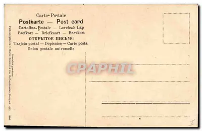Flores — tulipas, narcisos, ranúnculos — editor Martin Kornmel & Cie, Stuttgart — Verso