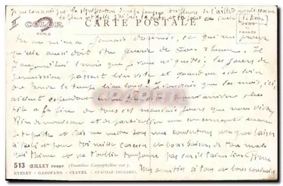 Flores vermelhas — Carnações — desenho assinado por Barde — Verso