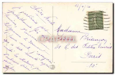 Rosas — flor rosa e botão — editor não visível — Verso