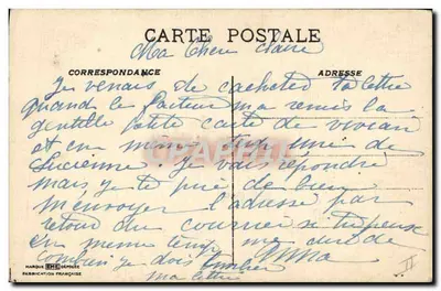 Cachorro carregando um buquê de erva-de-são-joão — Eu trago Boa Sorte — editor não visível — Verso