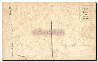 Arranjo de tulipas — edição SID's, série Polychrome, n° 1064 — assinado TINGRE — Verso