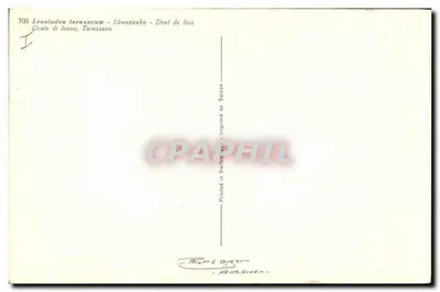 Dente de leão — variedades linguísticas — impressa na Suíça — Verso