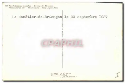 Rhododendron hirsutum — Gęsty alpejski różany — wydrukowany w Szwajcarii — Rewers