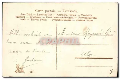 Soggetto: Maiale e trifoglio a quattro foglie — Carta di auguri — Editore: non identificato, n° serie: non visibile — Verso