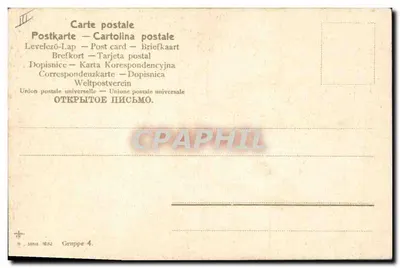 Bouquet de narcisos — ilustración — Unión postal universal, Grupo 4 — Reverso