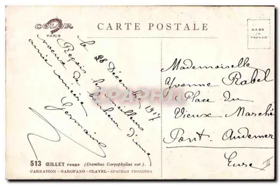 Carnações vermelhas — Boa Ano — Editor Color, Paris, n° 513 — Verso