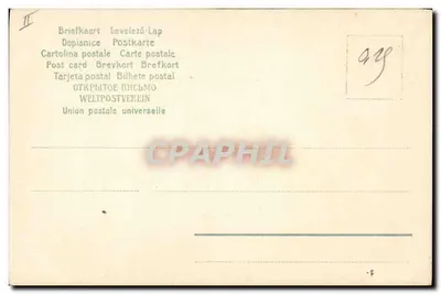 Flores brancas e violetas — ilustração botânica — Union postale universelle, n° II — Verso