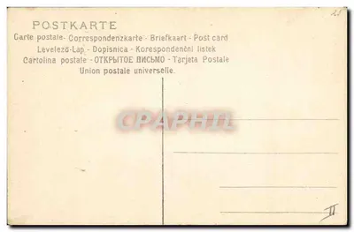 Bukiet białych lilii — ilustracja botaniczna — n° 142 — Rewers