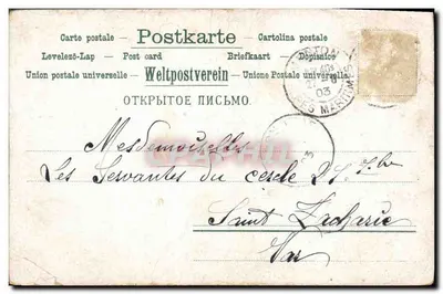 Fiori di pensiero — cartolina illustrata — editore sconosciuto, n° 667 — Verso