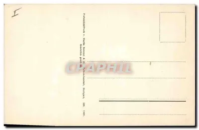 Flores de pessegueiro e botões — edição Martin Rommel & Cie, Stutgard, 1909 — Verso