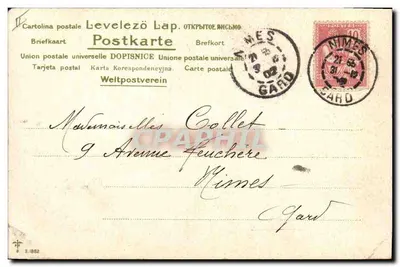 Bukiet piononków — Szczęśliwy Nowy Rok — C.r. Pivera — Rewers