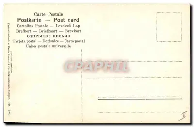 Flores de cerejeira — ilustração botânica — Geeretshof & Co. Stuttgart — Verso