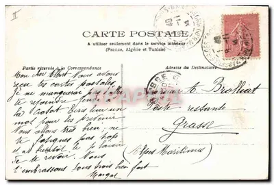 Arranjo de crisântemos brancos — ilustração — editor desconhecido, n° 20 300 — Verso