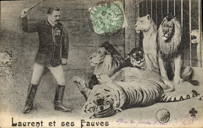 Laurent et ses Fauves — spectacle de cirque — éditeur non visible