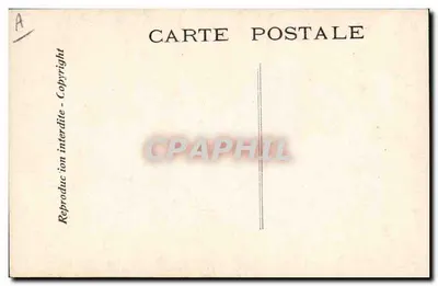 Beeld van Chantecler — Galipaux — n°87 — Achterkant